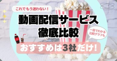 動画配信サービス　徹底比較　比較グラフで一目瞭然　おすすめ　３選　もう迷わない