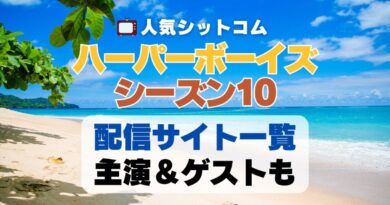 ハーパーボーイズ Two and a half Men　シーズン10 第10期　海外ドラマ　シットコム　シチュエーション・コメディ　人気　オススメ　VOD　配信　どこで見れる　一覧　比較　無料　スカパー　WOWOW スーパードラマTV　動画　サブスク　サイト　サービス　見れない　アマプラ　ネトフリ　u-next unext ユーネクスト　フールー　hulu 独占　見放題