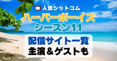 ハーパーボーイズ Two and a half Men　シーズン11 第11期　海外ドラマ　シットコム　シチュエーション・コメディ　人気　オススメ　VOD　配信　どこで見れる　一覧　比較　無料　スカパー　WOWOW スーパードラマTV　動画　サブスク　サイト　サービス　見れない　アマプラ　ネトフリ　u-next unext ユーネクスト　フールー　hulu 独占　見放題