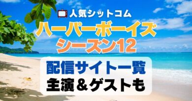 ハーパーボーイズ Two and a half Men　シーズン12 第12期　海外ドラマ　シットコム　シチュエーション・コメディ　人気　オススメ　VOD　配信　どこで見れる　一覧　比較　無料　スカパー　WOWOW スーパードラマTV　動画　サブスク　サイト　サービス　見れない　アマプラ　ネトフリ　u-next unext ユーネクスト　フールー　hulu 独占　見放題