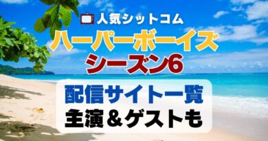 ハーパーボーイズ Two and a half Men　シーズン6 第6期　海外ドラマ　シットコム　シチュエーション・コメディ　人気　オススメ　VOD　配信　どこで見れる　一覧　比較　無料　スカパー　WOWOW スーパードラマTV　動画　サブスク　サイト　サービス　見れない　アマプラ　ネトフリ　u-next unext ユーネクスト　フールー　hulu 独占　見放題