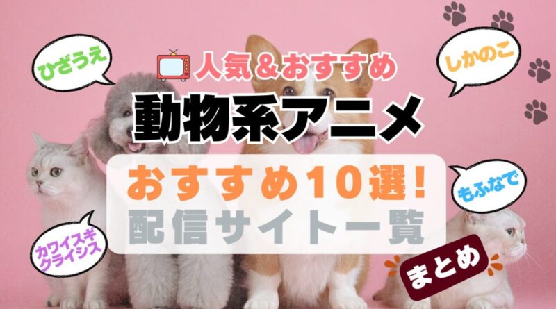 動物　ペット　犬　イヌ　ネコ　ねこ　猫　いぬ　かわいい　まとめ　一覧　オススメ　人気　ランキング　アニメ　動画配信サービス　配信中サイト　サブスク　動画　U-NEXT unext ユーネクスト　フールー hulu アマプラ　ネトフリ　ABEMA dアニメ