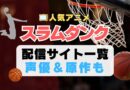 スラムダンク　スポーツ　アニメ　SLAM DUNK　1期　動画配信サービス　一覧　オススメ　コスパ　最強　人気　サイト　サブスク　無料　ユーネクスト　DMM TV u-next unext hulu フールー　アマプラ　ネトフリ　dアニメ