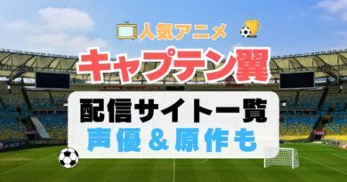 キャプテン翼　スポーツ　アニメ　サッカー　1期　動画配信サービス　一覧　オススメ　コスパ　最強　人気　サイト　サブスク　無料　ユーネクスト　DMM TV u-next unext hulu フールー　アマプラ　ネトフリ　dアニメ