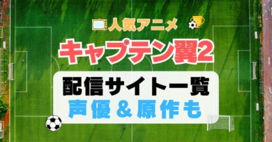 キャプテン翼　スポーツ　アニメ　サッカー　続編　2期　動画配信サービス　一覧　オススメ　コスパ　最強　人気　サイト　サブスク　無料　ユーネクスト　DMM TV u-next unext hulu フールー　アマプラ　ネトフリ　dアニメ