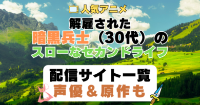 解雇された暗黒兵士（30代）のスローなセカンドライフ　第1期　アニメ　配信サイト　動画配信サービス　動画サブスク　声優　原作