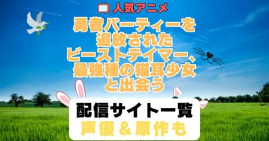 勇者パーティーを追放されたビーストテイマー、最強種の猫耳少女と出会う　ビステマ　第1期　アニメ　配信サイト　動画配信サービス　動画サブスク　声優　原作