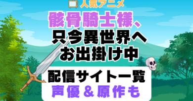 骸骨騎士様、只今異世界へお出掛け中　第1期　アニメ　配信サイト　動画配信サービス　動画サブスク　声優　原作